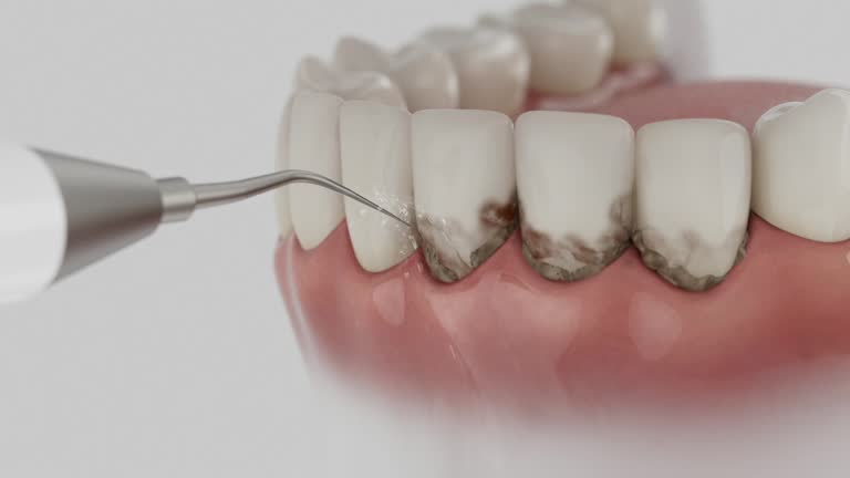 Reliable Dental contractor in Johnsonville, SC by Dentist Open Now